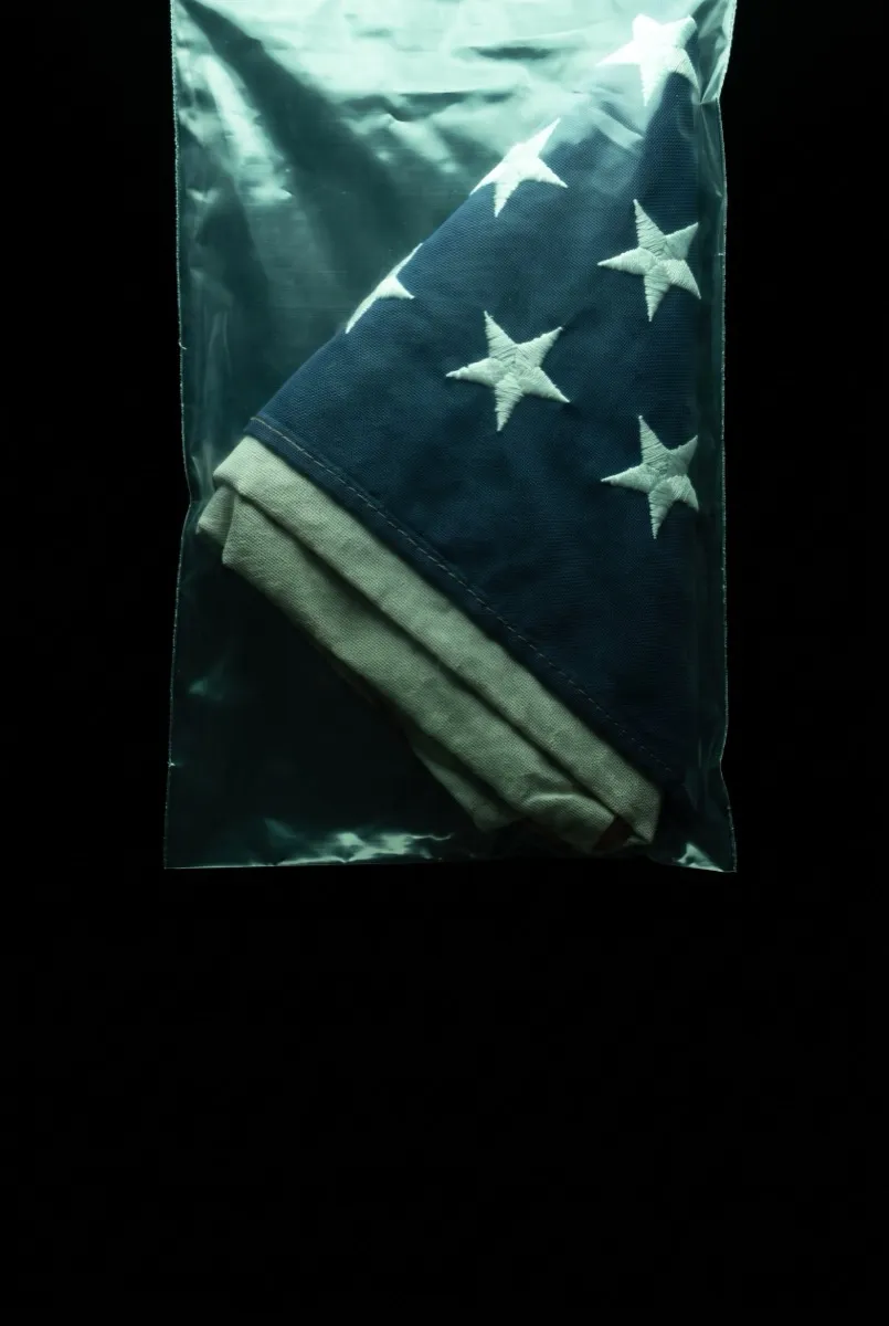 Flag folded into a triangle — poster for The Reversion